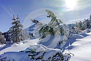 Winter wiew of Vitosha Mountain, Bulgaria