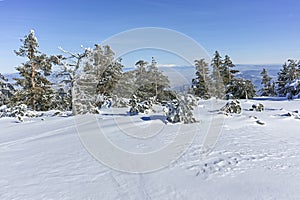 Winter wiew of Vitosha Mountain, Bulgaria