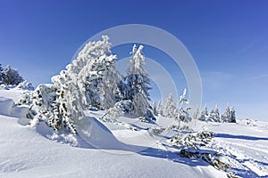 Winter wiew of Vitosha Mountain, Bulgaria