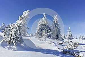 Winter wiew of Vitosha Mountain, Bulgaria