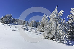 Winter wiew of Vitosha Mountain, Bulgaria