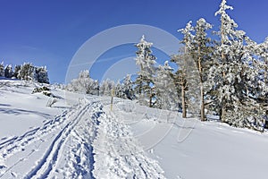 Winter wiew of Vitosha Mountain, Bulgaria