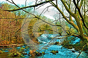 Winter wilderness along the River Wye, in Monsal Dale, Derbyshire