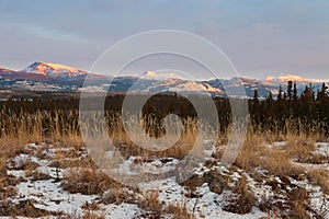 Winter wilderness landscape Yukon Territory Canada