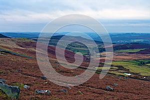 Winter wilderness, at Stannage Edge, Derbyshire, January, 2020