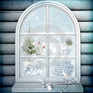 Winter window