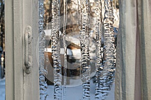 The winter window