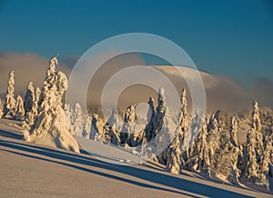 Winter windy in Slovakia. Velka Fatra mountains under snow. Frozen snowy trees and dark sky panorama.