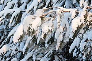 winter, winter-tide, winter-time