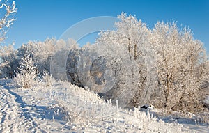 winter, winter-tide, winter-time