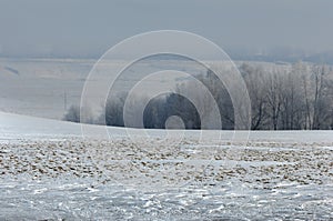 winter, winter-tide, winter-time