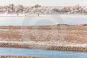 winter, winter-tide, winter-time