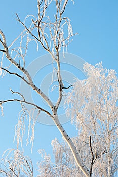 winter, winter-tide, winter-time