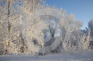 winter, winter-tide, winter-time