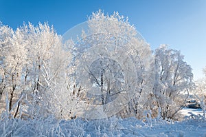 winter, winter-tide, winter-time