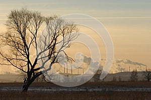 Winter, winter-tide, winter-time