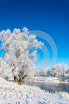 winter, winter-tide, winter-time