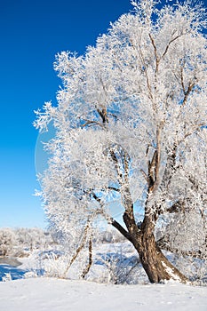 winter, winter-tide, winter-time