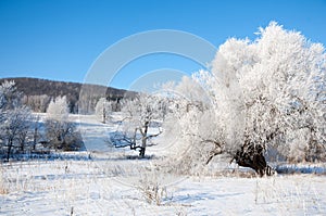 winter, winter-tide, winter-time