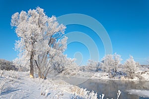 winter, winter-tide, winter-time