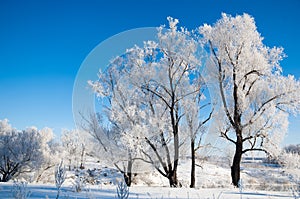 winter, winter-tide, winter-time