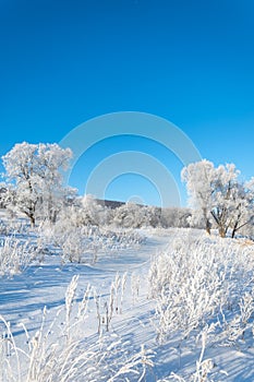 winter, winter-tide, winter-time