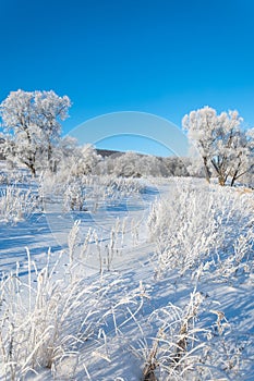 winter, winter-tide, winter-time