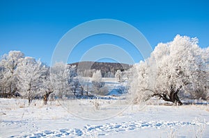 winter, winter-tide, winter-time