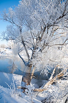 winter, winter-tide, winter-time