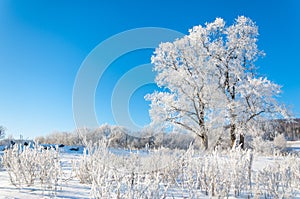 winter, winter-tide, winter-time