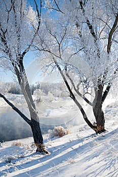 winter, winter-tide, winter-time