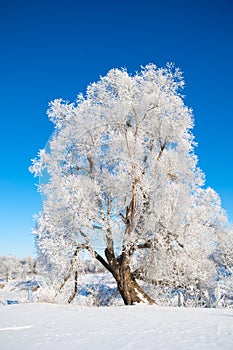 winter, winter-tide, winter-time