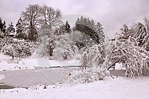 Winter wonderland in the arboretum