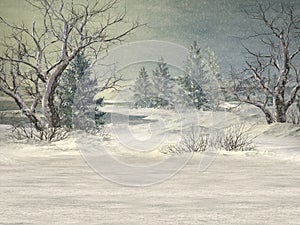 Winter Wonderland Background