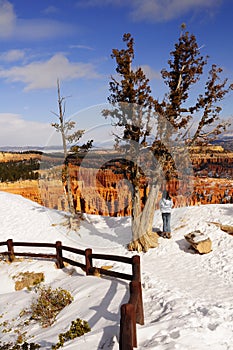 Winter wonderland at Bryce Canyon NP