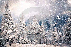 Krajina zázrakov vianočné pozadie zasnežený jedľa stromy v 