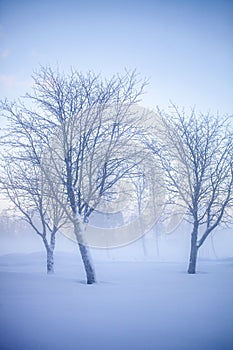 Winter wonderland in Finland