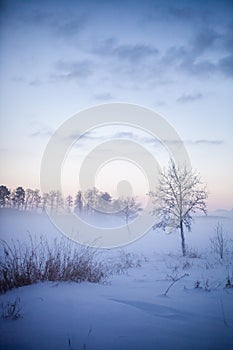 Winter wonderland in Finland