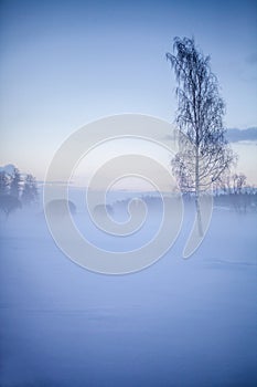 Winter wonderland in Finland