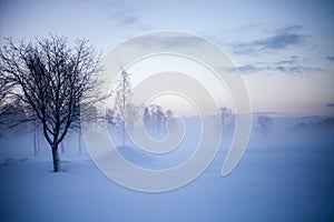 Winter wonderland in Finland