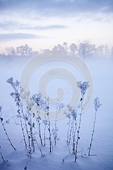 Winter wonderland in Finland