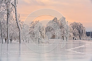 Winter Wonderland on Goat Island - Niagara Falls