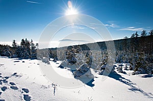 Winter wonderland in the Harz