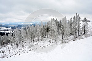 Winter wonderland in High Tatras