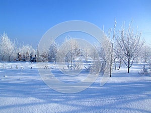 Winter wonderland landscape