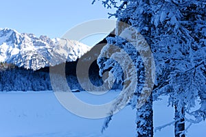 Winter wonderland landscape by the lake Ferchensee in Bavaria, Germany