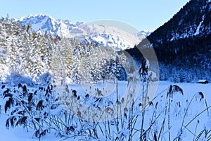 Winter wonderland landscape by the lake Ferchensee in Bavaria, Germany