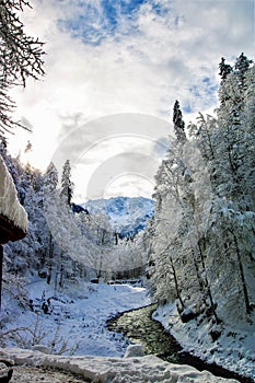 A winter wonderland - mountains and trees full of snow and a beautiful blue sky with white clouds