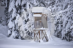 Winter wonderland with a raised hide at the forest