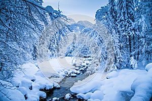 Mundo maravilloso un rio una cama a árboles cubierto en profundo la nieve 